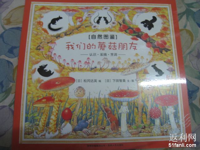 20101029202255193.jpg