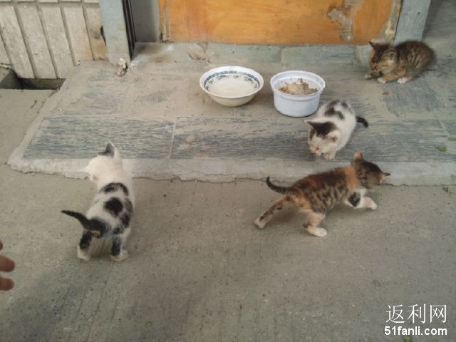 2011622115810348.jpg